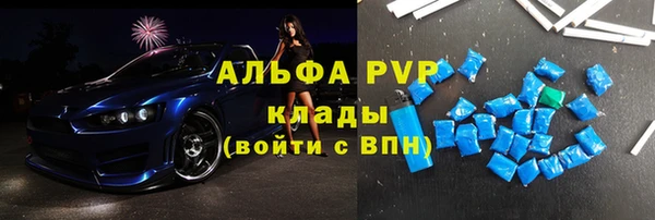 Альфа ПВП Новозыбков