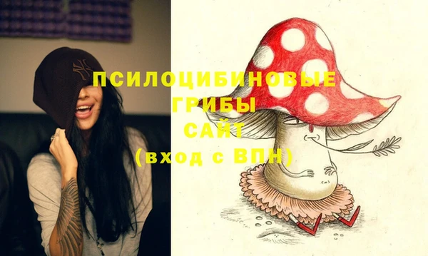 PSILOCYBIN Бугульма